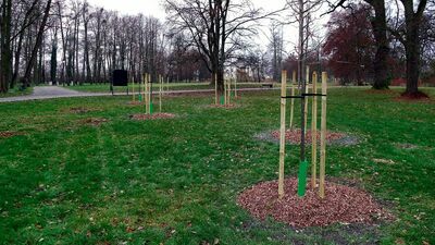 Park Miejski mieszkańcy określają jedynym zielonym zakątkiem miasta. Jest pozostałością dawnego ogrodu Lubomirskich w Niezdowie