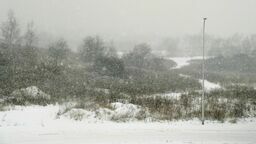 Inwestycji deweloperskiej na górkach od lat sprzeciwiają się społecznicy