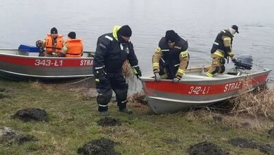 Drony i pies tropiący. Poszukiwania trwają już kilka tygodni 