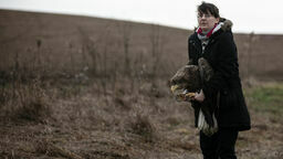 Bielik Polonia wygrała życie – taką wiadomość podała Fundacja Ada, publikując zdjęcie z momentu wypuszczania ptaka na wolność 