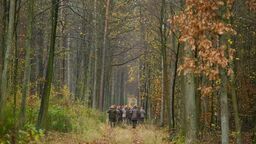 Zdjęcie ilustracyjne