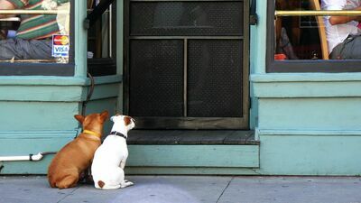 Zdjęcie ilustracyjne