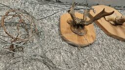 Dwa lata więzienia za kłusownictwo