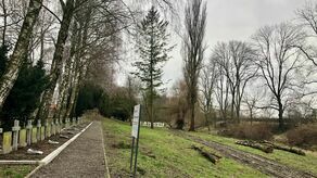 Wyciętych zostało 15 drzew, ale zasadzonych zostanie dwa razy więcej nowych.