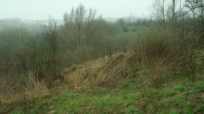 Górki Czechowskie wracają do gry? Deweloper TBV ma mieszane uczucia