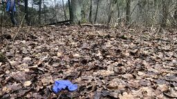 Tragedia rozegrała się w tym miejscu, nad położonym w głębi lasu stawem. Ciało dziewczynki znaleziono na ziemi pod dębem, jej tata miał powiesić się na gałęzi świerku