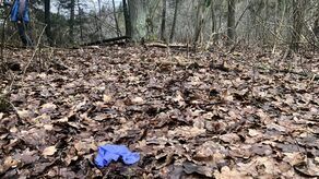 Tragedia rozegrała się w tym miejscu, nad położonym w głębi lasu stawem. Ciało dziewczynki znaleziono na ziemi pod dębem, jej tata miał powiesić się na gałęzi świerku