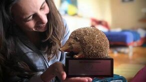 Klaudia Folga, studentka reżyserii filmowej na PWSFTViT w Łodzi ze Złotym Jeżem z 2020 roku