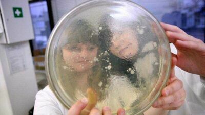 Jedna z poprzednich Nocy Biologów