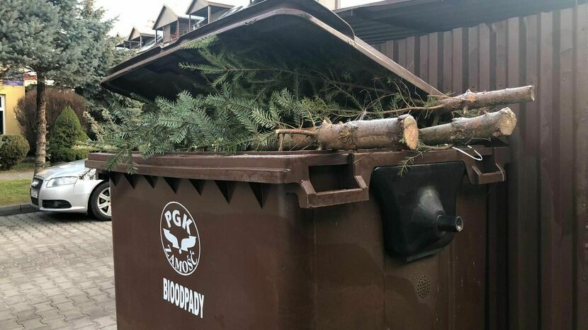 Choinki są biodegradowalne, ale w pojemnikach na takie odpady absolutnie lądować nie powinny. Jeśli już ktoś chce się drzewka pozbyć wcześniej, niż zostanie ono odebrane, to powinien wystawić po prostu obok kontenera na śmieci.
