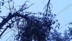 Coraz więcej domów bez prądu. Powodem nocne opady śniegu