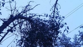 Coraz więcej domów bez prądu. Powodem nocne opady śniegu