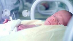 Przełom w sprawie miejskiego programu in vitro. Będą na to pieniądze