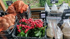 Warzywa pochodzą z uprawy rolników