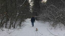 W okolicach Zwierzyńca i na całym Roztoczu jest wiele lasów. Po tych, które są położone poza terenem RPN można z czworonogami spacerować.
