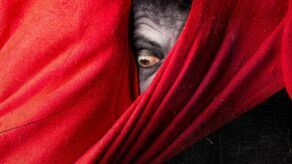 9. urodziny Akademii Odkryć Fotograficznych. Zaczną się na dworcu PKS