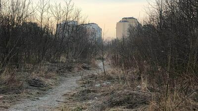 Swoje działki na tym terenie przy ul. Prymasa Wyszyńskiego ma i TBS, i PR-BUD Development. Ani miejska spółka, ani firma z Kalinowic nie dostała zgody RM na zrealizowanie tu budowy w ramach specustawy z 2018 roku o ułatwieniach w przygotowaniu i realizacji inwestycji mieszkaniowych oraz inwestycji towarzyszących czyli tzw. lex deweloper