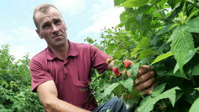 Zdjęcie ilustracyjne