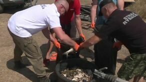 Oczyszczanie Odry ze śniętych ryb