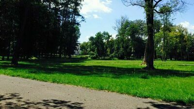 Mieszkańcy Opola Lubelskiego nie chcą spopielarni zwłok zwierząt koło lubianego parku 