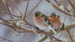 Ostrzeżenie IMGW dla lubelskiego. To będzie trudna noc