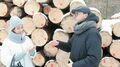 Wycinka lasu w Kraśniku trafi do Sejmu. Poseł KO mówi o cięciu dla pieniędzy