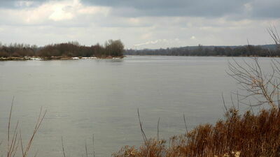Puławy w stanie pogotowia. Wysoki poziom Wisły