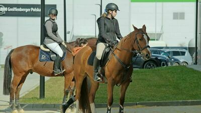 W weekend w Lublinie odbędą się mistrzostwa województwa w ujeżdżeniu