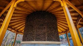 Przykładowa tężnia 