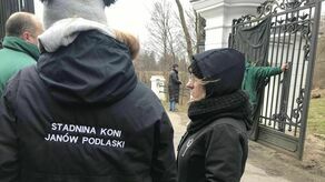 Nagła zmiana prezesa stadniny koni w Janowie Podlaskim. Protest pracowników