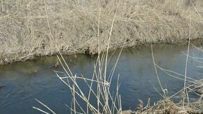 Lubelskie. Tragiczny koniec poszukiwań 39-latka. Znaleźli ciało