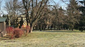 Zamojskie Planty. Tu doszło do pobicia