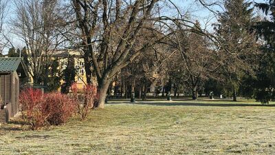 Zamojskie Planty. Tu doszło do pobicia
