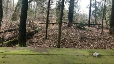 Dzień po tragedii byliśmy w miejscu, gdzie doszło do zabójstwa dziecka i samobójstwa ojca. To zakątek w kompletnej głuszy, na uboczu, z niewielką wysepką, do której prowadzi kładka, a także małą wiatą ze stołem i ławeczkami