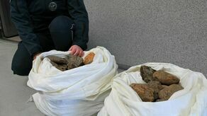 Spektakularne zatrzymanie na granicy. Celnicy w szoku