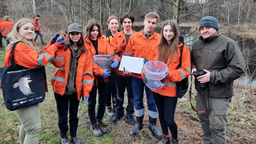 W zeszłym roku wolontariuszom akcji „Ocal żabkę” udało się uratować życie wielu płazów. Na zdjęciu uczniowie technikum ze Zwierzyńca