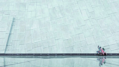 Przyrodniczka: wybetonowane miasto jest nieludzkie