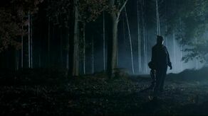 Repertuar kin i teatrów w Lublinie i regionie [31.03-02.04]