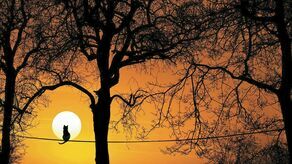 Wyspy ciepła widziane z kosmosu. Badania pomogą przetrwać upały