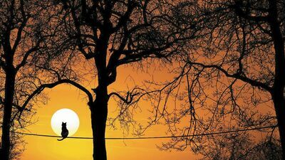 Wyspy ciepła widziane z kosmosu. Badania pomogą przetrwać upały