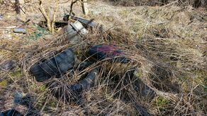 Podczas ubiegłorocznej kampanii Oponeo „Kręci Nas Recykling” zebrano 31 ton odpadów i 11 487 sztuk zużytych opon, a także posadzono 2872 drzew

