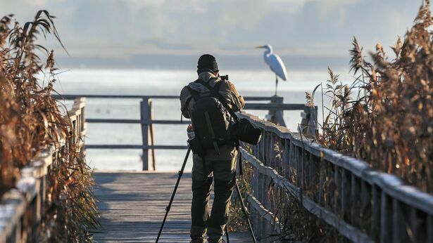 Do you have to be ethical when photographing an owl?  There is an answer