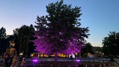 W niedzielę Baobab na pl. Litewskim będzie fioletowy