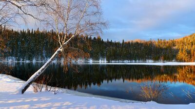 Ocieplenie we wszystkich sezonach roku. Wzrastają temperatury