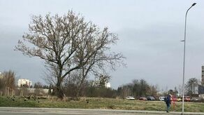 O zgodę na budowę pięciokondygnacyjnych bloków na działce przy Wyszyńskiego starał się również TBS. Tej miejskiej spółce radni również odmówili na styczniowej sesji.