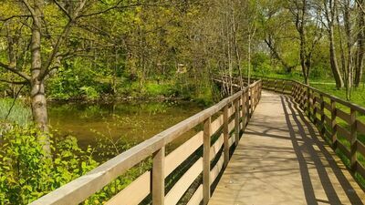 Majówka 2023. Niedawno to były stawy hodowlane. Teraz miejsce spacerowe w gminie Głusk