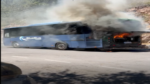 Horror in Tenerife.  Polish coach on fire.  Tourists lost money, passports, phones