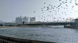 Trudno uwierzyć, co ludzie wrzucają do sedesu. Warkocz z chusteczek może ważyć kilka ton