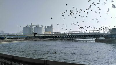 Trudno uwierzyć, co ludzie wrzucają do sedesu. Warkocz z chusteczek może ważyć kilka ton