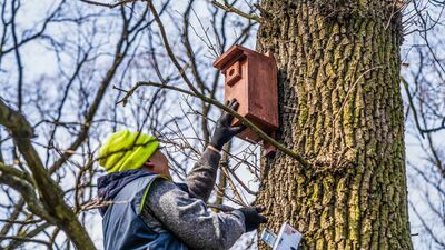  Biała Podlaska: Będzie więcej ptaków? Budki już są 